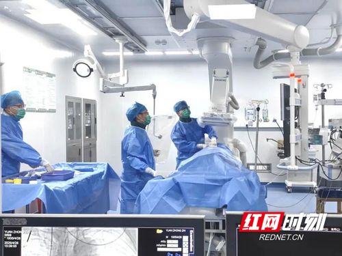 汝城縣人民醫院獲評心血管疾病防治技術牽頭單位，引領區域健康服務新篇章