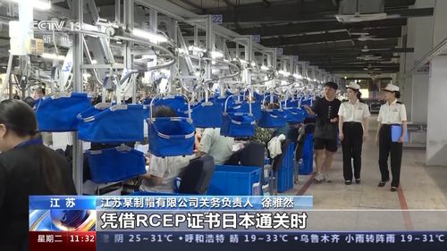 前7個月我國外貿運行平穩，貨物貿易進出口總值達23.55萬億元